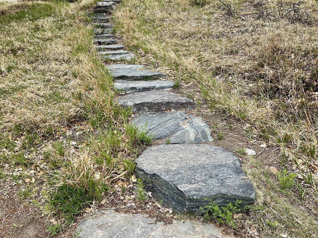 Garden walkway with stepping stones and landscaping design