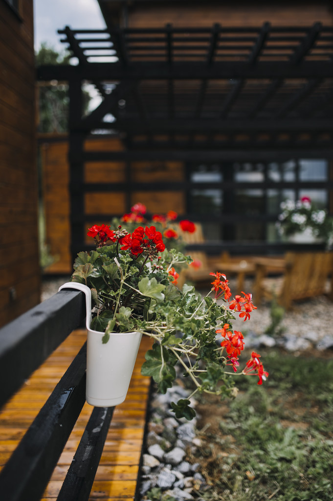 Backyard patio with plantings and garden design detail