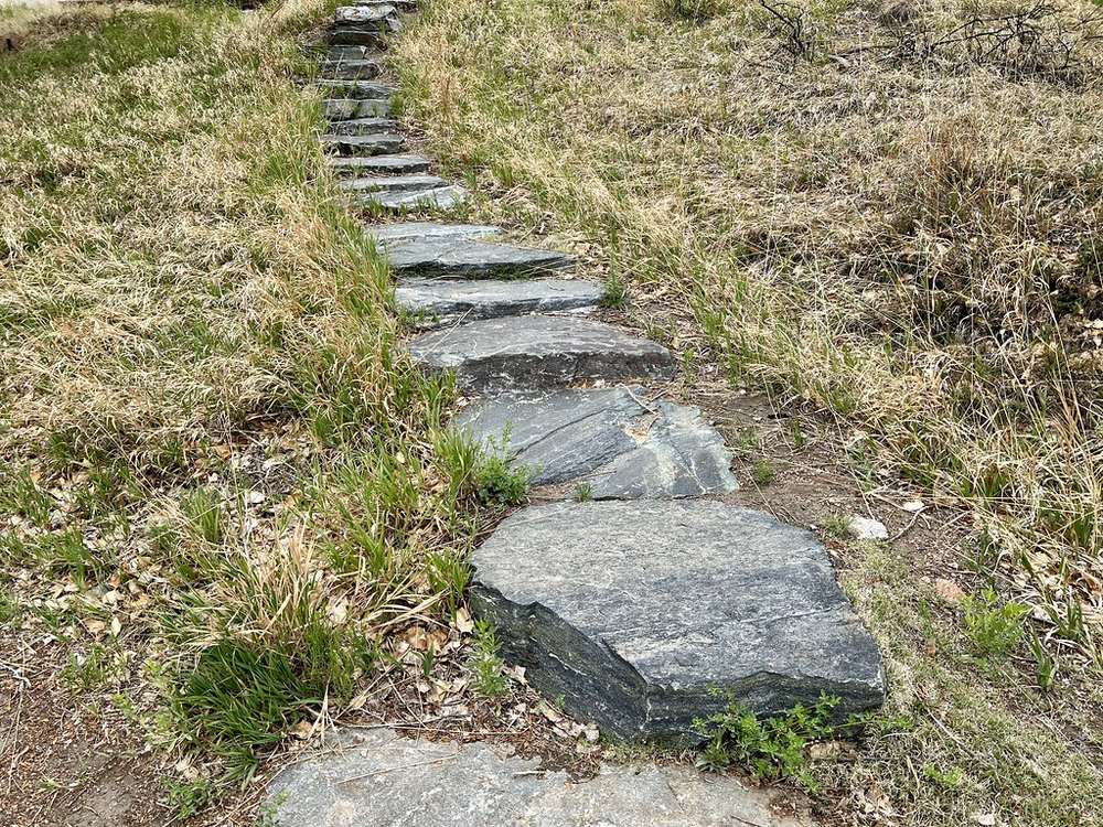 Garden walkway with stepping stones and landscaping design